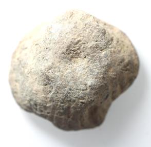 Ancient Coins - ROMAN LEAD WEIGHT. 4TH-5TH CENTURY A.D