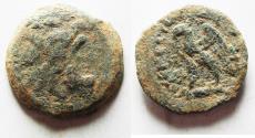 Ancient Coins - Ptolemaic Kingdom. Ptolemy VIII Euergetes II (Physcon). Second reign, 145-116 B.C. Æ. Cyrene.