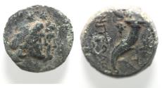 Ancient Coins - PHOENICIA, Ake-Ptolemais. 2nd century BC. AE 16