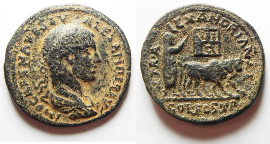 Ancient Coins - Arabia. Bostra. Under Severus Alexander (AD 222-235). Very Rare large coin!!!!!!