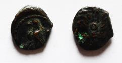 Ancient Coins - Arabia. Nabataean kingdom. Aretas IV (4 BC-AD 40). AE 13