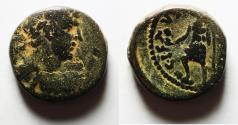 Ancient Coins - Judaea. Caesarea Maritima under Hadrian AE 19