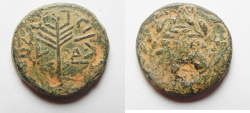 Ancient Coins - Judaea. Herodian dynasty. Herod Antipas (4 BCE-39 CE). AE half unit (24mm, 10.85g). Tiberias mint. Struck in regnal year 34 (30/31 CE). 