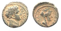 Ancient Coins - DECAPOLIS. GADARA. TITUS AE 16