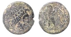 Ancient Coins - PTOLEMAIC KINGDOM. PTOLEMY II AE 27