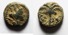 Ancient Coins - Phoenicia, Tyre. Pseudo-autonomous issue. 2nd century A.D. Æ 14