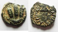 Ancient Coins - JUDAEA, Herodians. Agrippa I. 37-43 CE. AE Prutah .Jerusalem mint.