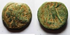 Ancient Coins - PTOLEMAIC KINGDOM. PTOLEMY II . SIDON MINT. AE 19