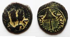 Ancient Coins - JUDAEA, Herodians. Agrippa I. 37-43 CE. AE Prutah .Jerusalem mint.