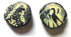 Ancient Coins - PTOLEMAIC KINGDOM. PTOLEMY II AE 16. SIDON MINT