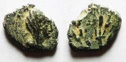 Ancient Coins - DECAPOLIS. BOSTRA. FAUSTINA I AE 15