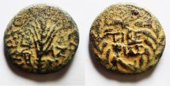 Ancient Coins - Rare with Cornucopia: Judaea. Herodian Dynasty. Herod Antipas (4 BC-AD 39). AE half unit (21mm, 7.35g). Tiberias mint. Struck in regnal year 37 (AD 32/3).