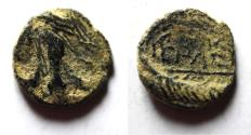 Ancient Coins - PHEONICIA AE 12