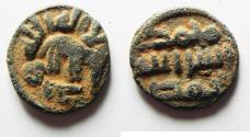 World Coins - ISLAMIC. UMMAYYED AE FALS. ELEPHANT. EMISSA "HUMS" MINT. ضرب حمص