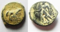 Ancient Coins - OVERSTRUCK ON A PTOLEMY COIN: NABATAEAN KINGDOM. ARETAS II/III AE 19. 103-96 BC.