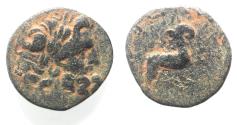 Ancient Coins - Seleucis and Pieria. Antioch Æ 20 . Star of Bethlehem depicted. 1st Century AD