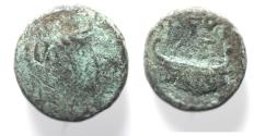 Ancient Coins - JUDAEA. ASCALON AE. 1ST CENT. AD . AE 13