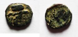 Ancient Coins - ANTIOCH OR PALMYRA AE 9