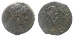 Ancient Coins - PTOLEMAIC KINGS of EGYPT. Ptolemy V or Ptolemy VI. 204-180 BC or 180-145 BC. Æ.