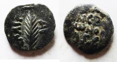 Ancient Coins - JUDAEA. Porcius Festus Procurator under Nero AE Prutah. 58/59 C.E.