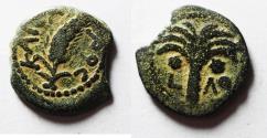 Ancient Coins - Judaea Marcus Ambibulus Roman Prefect Under Augustus AE Prutah . 9-10 AD