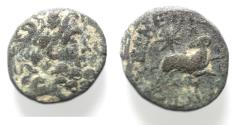 Ancient Coins - Seleucis and Pieria. Antioch Æ 20 . Star of Bethlehem depicted. 1st Century AD