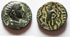 Ancient Coins - PHOENICIA, Berytus. Gordian III. AD 238-244. Æ 19