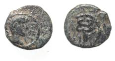 Ancient Coins - DECAPOLIS. GADARA. TIBERIUS AE 12