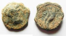 Ancient Coins - Ptolemaic Kingdom. Ptolemy IX Soter II (Lathyros). 116-106 B.C. Æ. Cyrene.