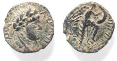Ancient Coins - JUDAEA, Herodians. Agrippa II, with Domitian. Circa 50-100 CE. Æ 16