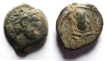 Ancient Coins - Ptolemaic Kings. Ptolemy Apion as King of Kyrenaika (104-96 BC) Æ 14