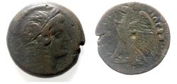 Ancient Coins - PTOLEMAIC KINGS of EGYPT. Ptolemy V or Ptolemy VI. 204-180 BC or 180-145 BC. Æ. ISIS