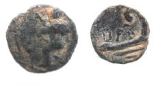 Ancient Coins - PHOENICIA, Berytus. 2nd century AD. Æ 10