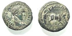 Ancient Coins - CHOICE AS FOUND: 	ARABIA. PETRA. ELAGABALUS AE 21