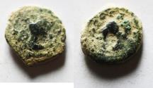 Ancient Coins - AS FOUND. DECAPOLIS . BOSTRA. CAMEL