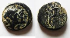 Ancient Coins - PHOENICIA, Ake-Ptolemais. AE 14, 2nd century BC