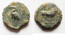 Ancient Coins - EGYPT, Alexandria. Julio-Claudian period, perhaps under Gaius (Caligula). Circa mid-1st Century AD. Æ Dichalkon
