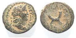 Ancient Coins - DECAPOLIS. GADARA. NERO AE 18