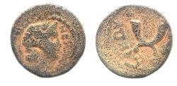 Ancient Coins - DECAPOLIS. GADARA. NERO AE 17