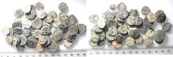 Ancient Coins - AS FOUND: NABATAEAN KINGDOM. LOT OF 50 AE COINS
