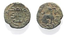 World Coins - ISLAMIC. UMMAYYED. AE FALS JORDAN MINT. LION