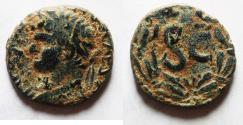 Ancient Coins - ANTIOCH. DOMITIAN AE 20