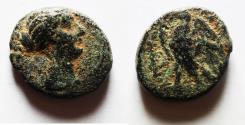 Ancient Coins - EGYPT. Berenike II. Wife of Ptolemy III Euergetes. Circa 244/3-221 BC , AE 16