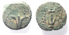 Ancient Coins - Seleukid Kings. Antiochus VII Æ Prutah / Lily. Jerusalem mint.