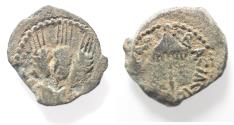 Ancient Coins - JUDAEA, Herodians. Agrippa I. 37-43 CE. AE Prutah .Jerusalem mint.
