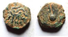 Ancient Coins - Ptolemaic Kings. Ptolemy Apion as King of Kyrenaika (104-96 BC) Æ 13