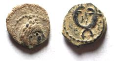 Ancient Coins - NABATAEA. Aretas IV.. 9 BC- AD 40. AE 14