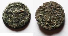 Ancient Coins - SELEUKID EMPIRE. Antiochos VII Euergetes (Sidetes). 138-129 BC. Æ Prutah