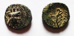 Ancient Coins - Phoenicia. Arados. AE 13mm, 1.52g. Struck in Aradian Era year 130 (130/29 BC)?