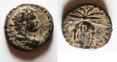 Ancient Coins - Seleucis and Pieria. Seleucia Pieria. Caracalla AE 20